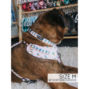 Sassy Woof Collar - Puppy Colada