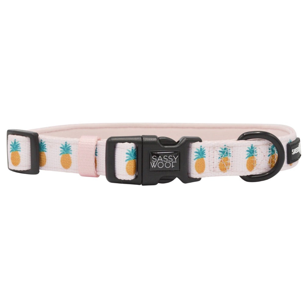 Sassy Woof Collar - Puppy Colada