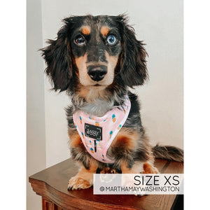 Sassy Woof Adjustable Harness - Puppy Colada
