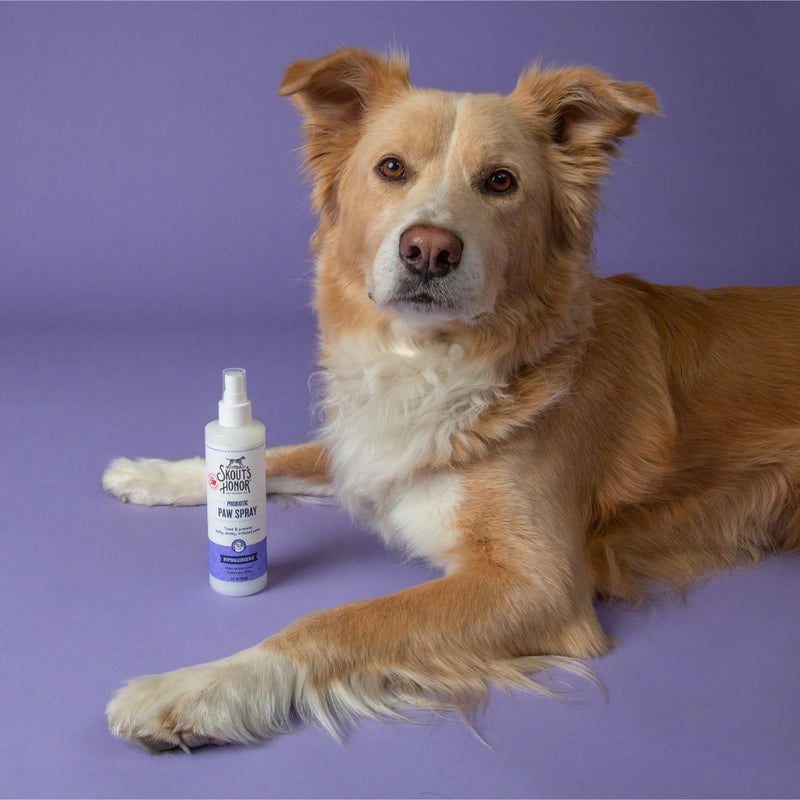Skout's Honor PROBIOTIC PAW SPRAY FOR DOGS & CATS