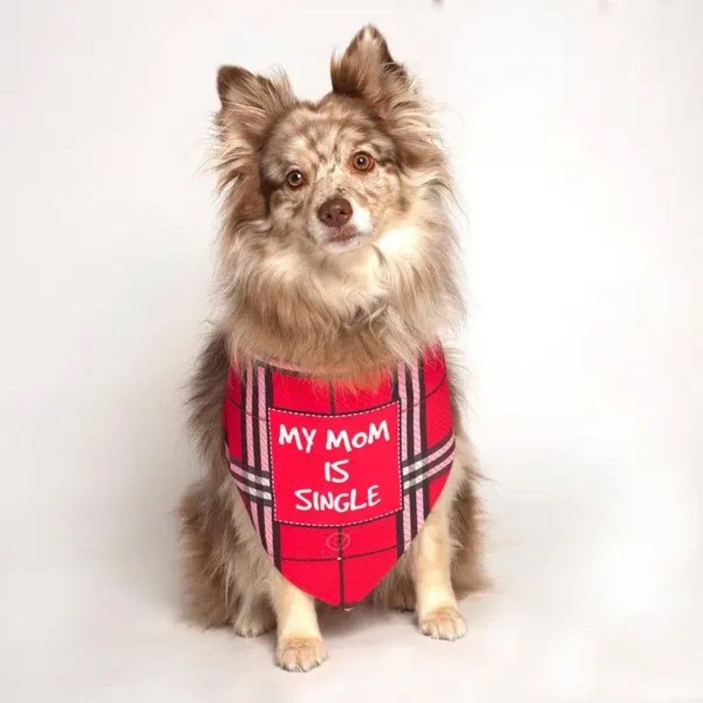 Dog Fashion Living My Mom Is Single Dog Bandana