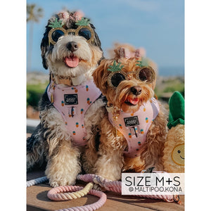 Sassy Woof Adjustable Harness - Puppy Colada