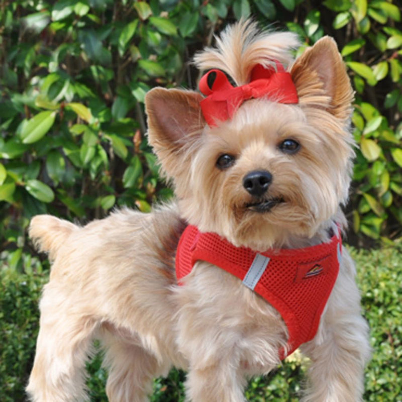 Doggie Design American River Solid Ultra Choke Free Dog Harness - Red