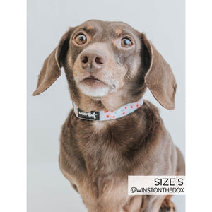 Sassy Woof Adjustable Harness - Sweets & Pawfee
