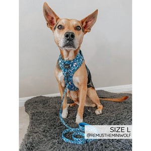 Sassy Woof Adjustable Harness - Santorini