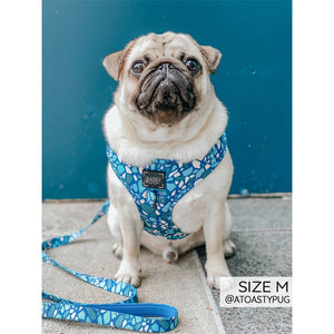 Sassy Woof Adjustable Harness - Santorini