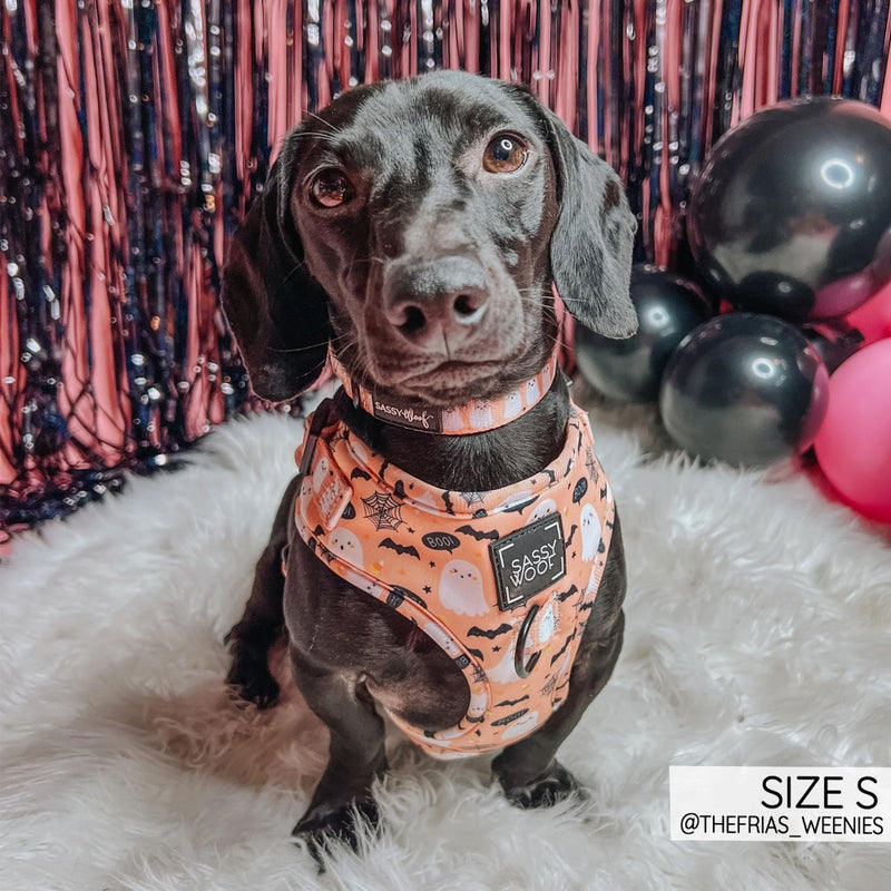 Sassy Woof Adjustable Harness - Squad Ghouls