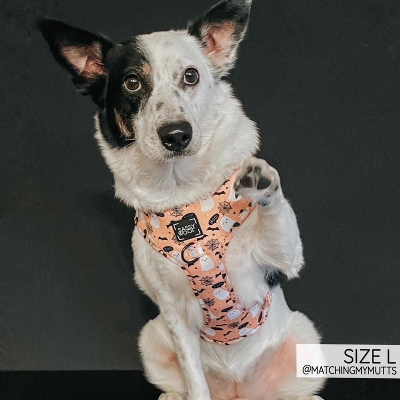 Sassy Woof Adjustable Harness - Squad Ghouls