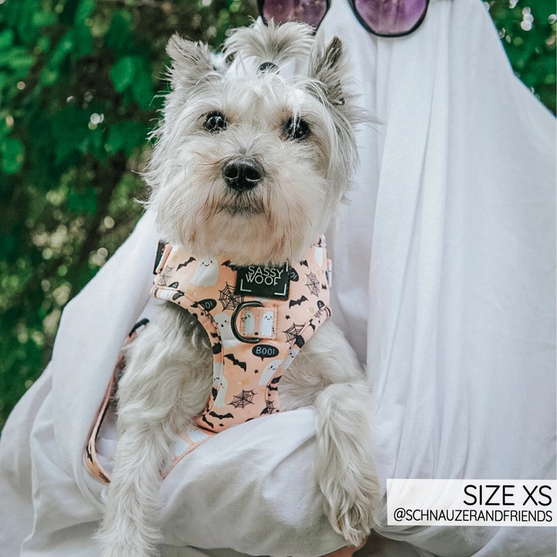 Sassy Woof Adjustable Harness - Squad Ghouls