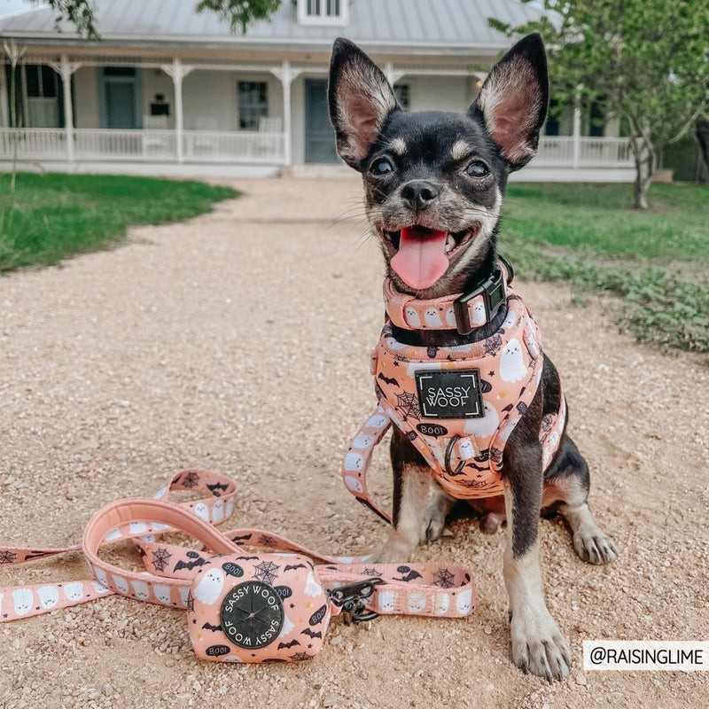 Sassy Woof Leash - Squad Ghouls