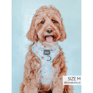 Sassy Woof Adjustable Harness - Sweets & Pawfee