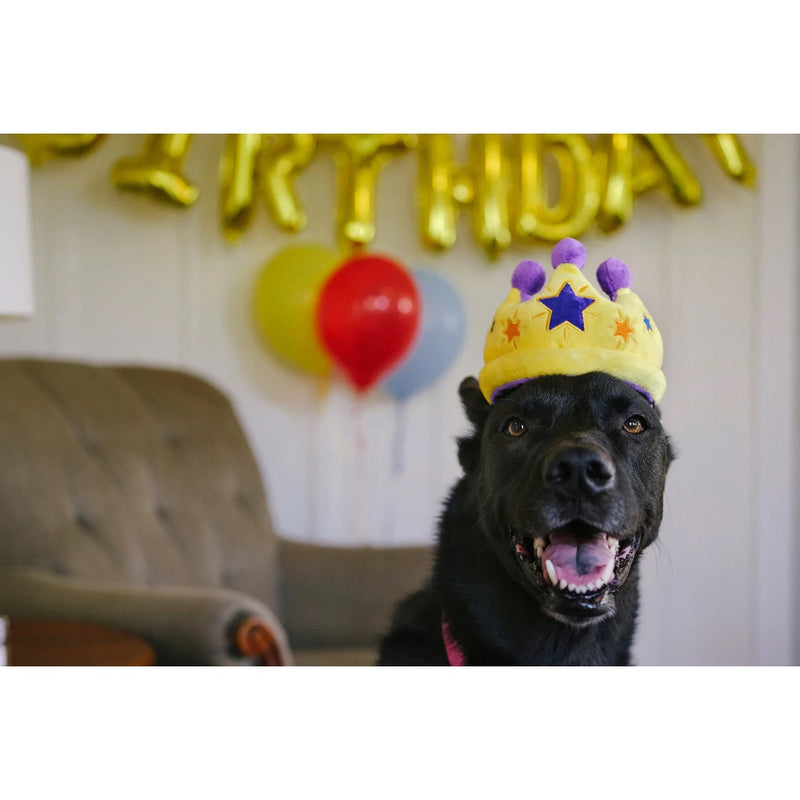 P.L.A.Y Party Time Collection- Canine Crown