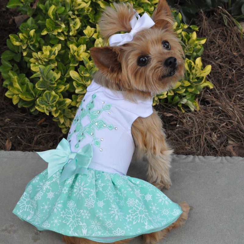 Doggie Design Turquoise Crystal Dog Dress with Matching Leash
