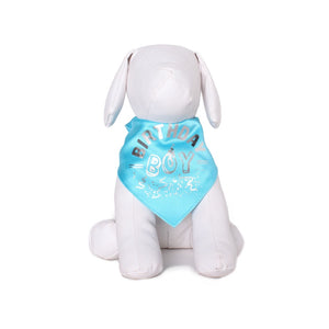 Tail Trends Light Blue Birthday Boy Bandana
