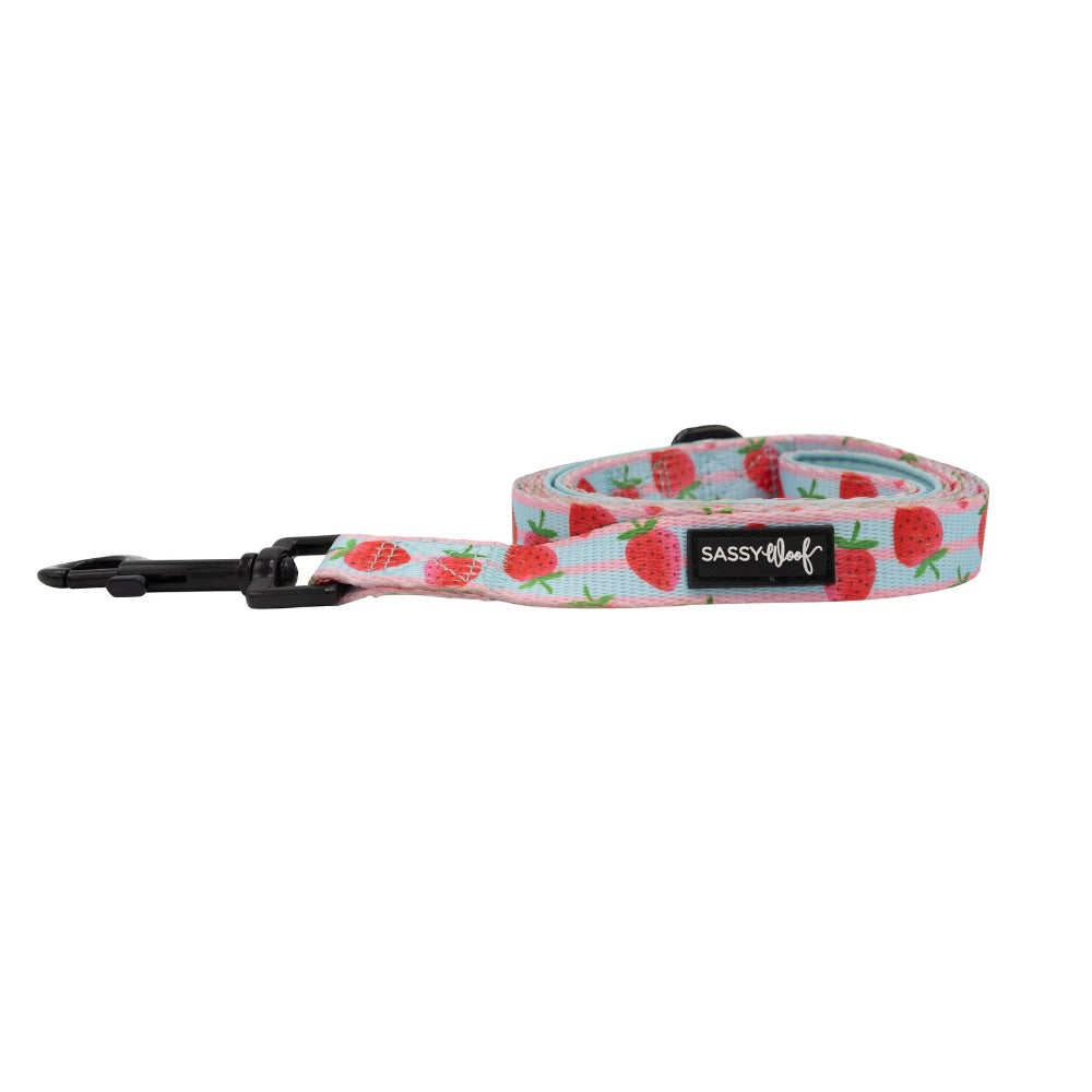Sassy Woof LEASH - I WOOF YOU BERRY MUCH