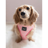 Sassy Woof REVERSIBLE HARNESS - DOLCE ROSE