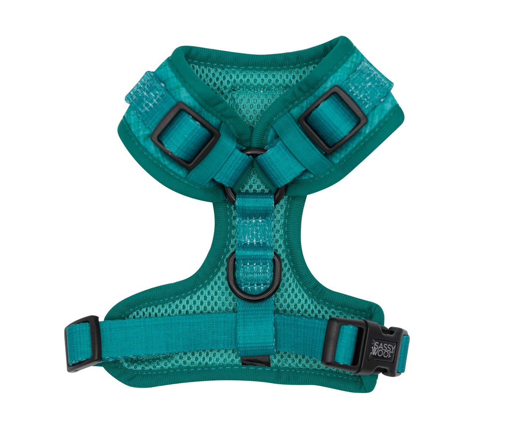 Sassy Woof ADJUSTABLE HARNESS - NAPA