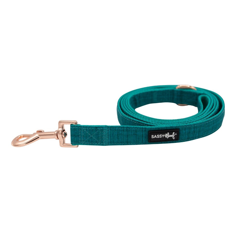 Sassy Woof LEASH - NAPA