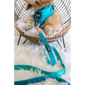 Sassy Woof LEASH - NAPA