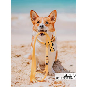 Sassy Woof Waterproof Collar - Yellow